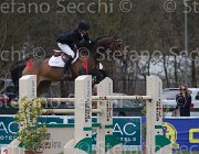 Schuttert Up to Date TosTour 2013- S5 7921 : Arezzo Equestrian Centre, Schuttert Hendrik, Toscana Tour 2013, Up to Date, foto di Stefano Secchi ©